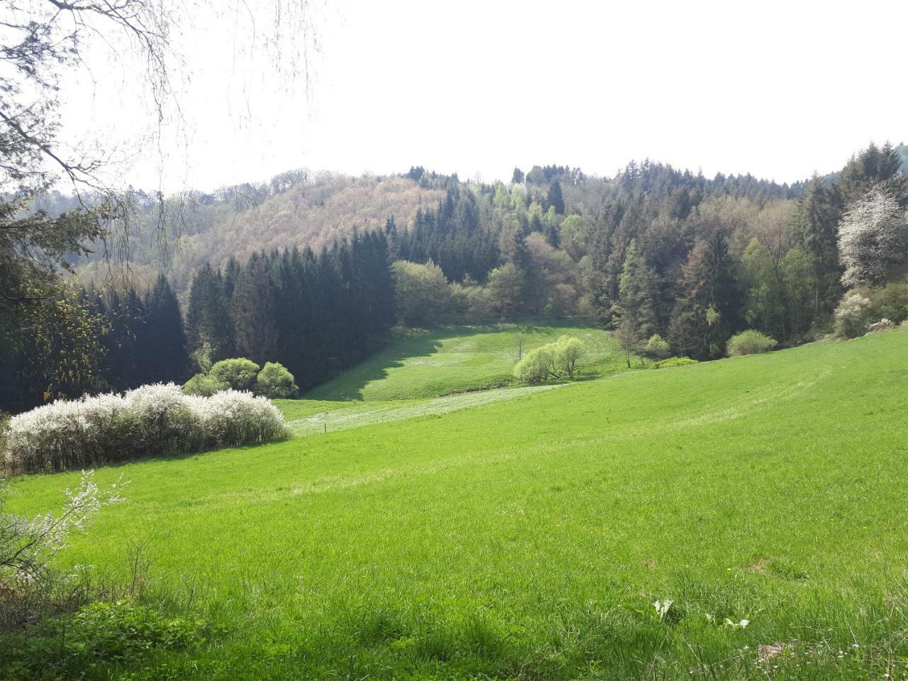 Herberg Die Alte Schleuse Manderscheid Exterior photo